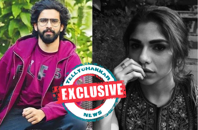 EXCLUSIVE! Amaal Mallik and Sharmin Segal to romance in a music video by Bhansali Productions?