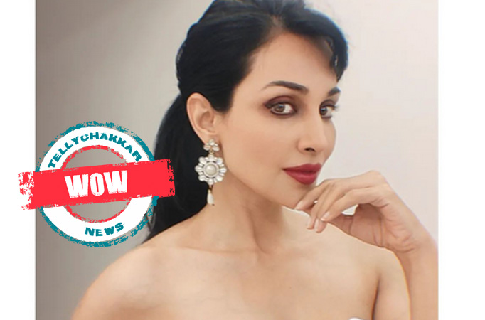 Wow! Check Out the Saree Looks of Flora Saini