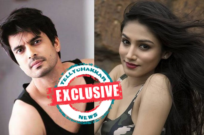 Exclusive! Gashmeer Mahajani and Donal Bisht roped in for MX player's next