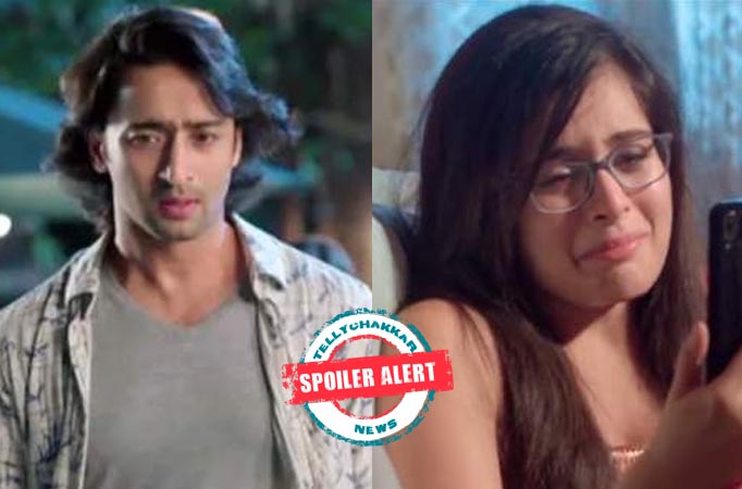 Yeh Rishtey Hain Pyaar Ke: Abeer and Mishti rekindle their love