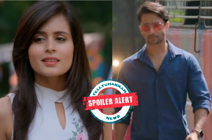 Yeh Rishtey Hai Pyaar Ke: Abeer's wrong assumption over Mishti Nishant's relation