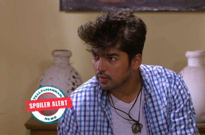 Tujhse Hai Raabta: Malhar and Ahir's bitter fight to save Moksh 