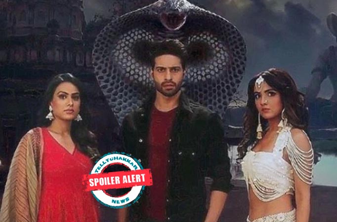 Naagin 4