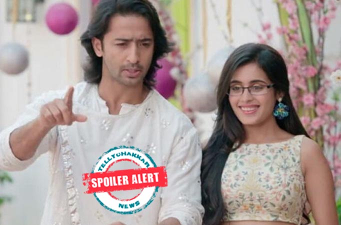 Yeh Rishtey Hain Pyaar Ke: Abeer-Mishti have a memorable moment with their family