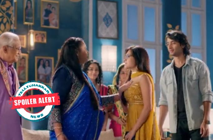 Yeh Rishtey Hain Pyaar Ke: Mishti supports Meenakshi against Mehul 