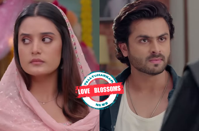 Ajooni: Love Blossoms! Rajveer’s selfless wins Ajooni’s heart