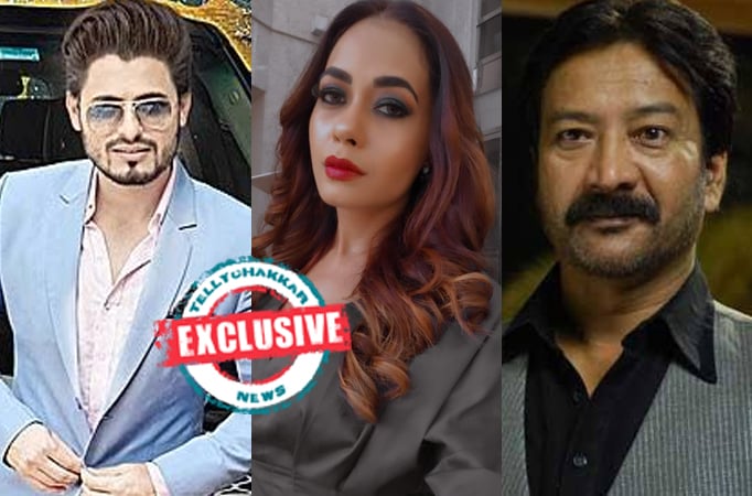 Exclusive! Anas Khan, Shikha Sinha, Ehsaan Khan to be seen in an upcoming movie titled Ox directed by Tanveer Hashmi, Deets insi