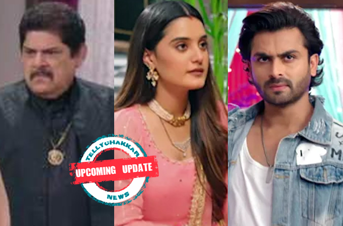 Ajooni: Upcoming Update! Ajooni to prove her innocence, Ravinder to reunite Ajooni and Rajveer?