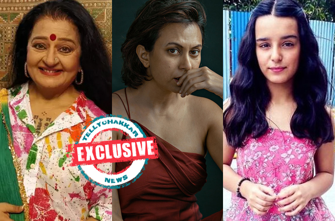 EXCLUSIVE! Choti Sarrdaarni's Apara Mehta, Dilnaz Irani and child actress Arista Mehta ROPED in Netflix's Decoupled 