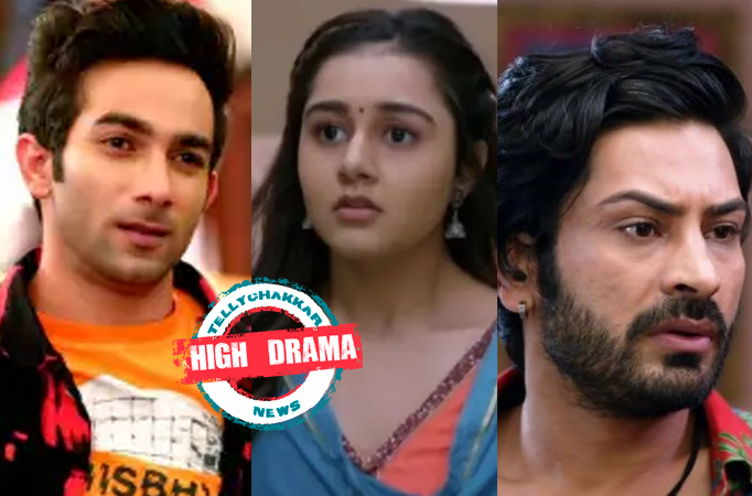 Bhagya Lakshmi: High Drama! Ayush comes to fulfil his promise and saves Shalu, Balwinder gets arrested