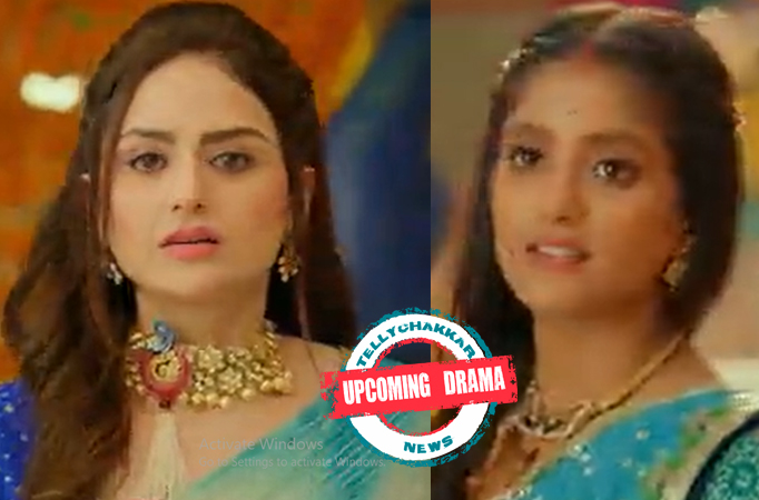 Banni Chow Home Delivery: Upcoming Drama! The Dahi-Handi utsav to be eventful, Banni plans to expose Manini?