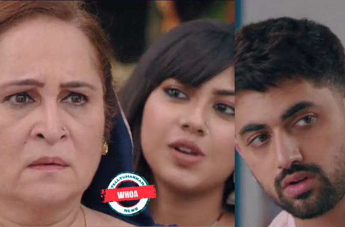 Fanaa Ishq Mein Marjawan: Whoa! Dadi makes a master plan to unite Agastya and Pakhi