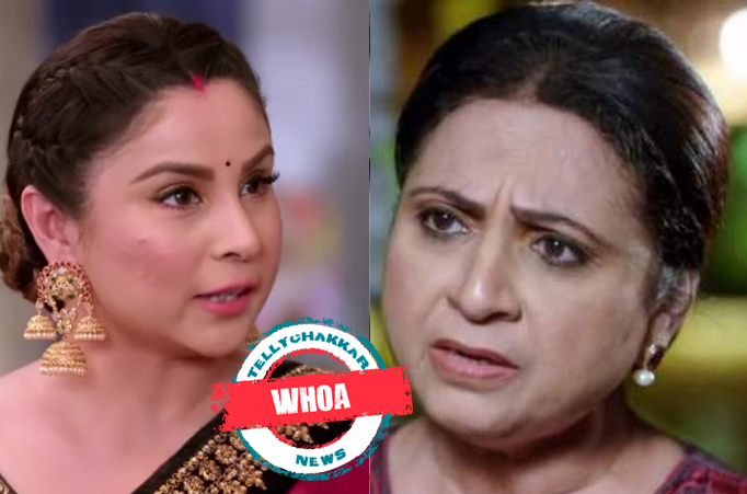 Kumkum Bhagya: Whoa! Dida guides Pallavi, asks her to uproot the root cause of the problem