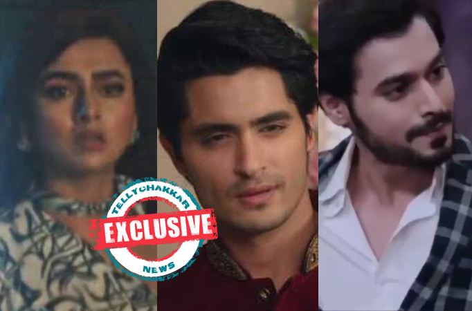 Naagin 6: Exclusive! Divya to marry Vihaan and Rehaan; a love triangle twist will be witnessed in the upcoming episode