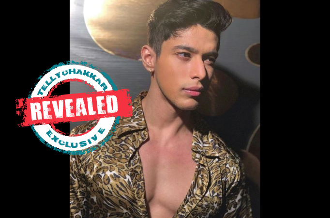 Revealed! This is WHY Bigg Boss OTT fame Pratik Sehajpal had to skip Bigg Boss 14; READ