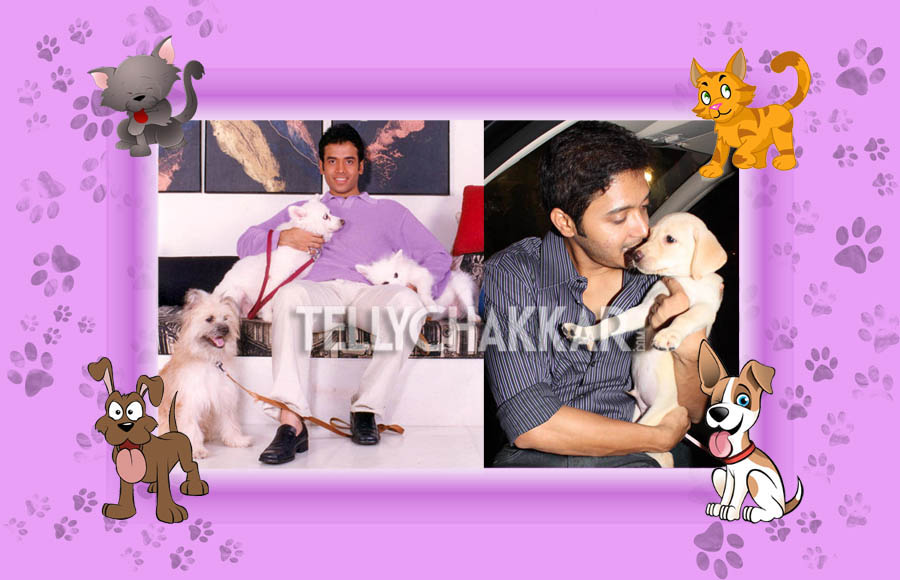 Tusshar Kapoor And Shreyas Talpade