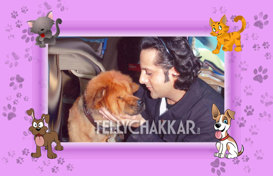 Fardeen khan