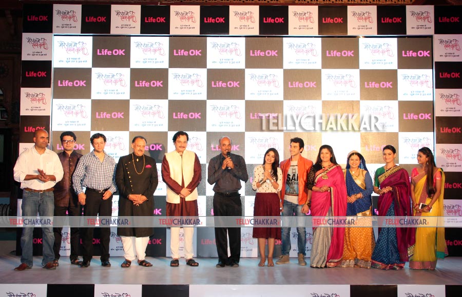 Life Ok launches Mere Rang Mein Rangne Waali