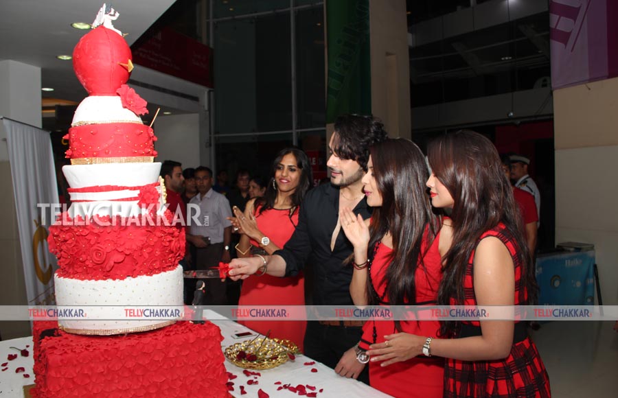 Dimple Jhangiani , Angad Hasija and Adaa Khan