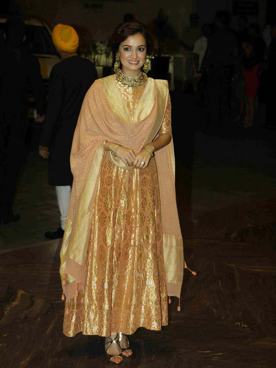 Dia Mirza