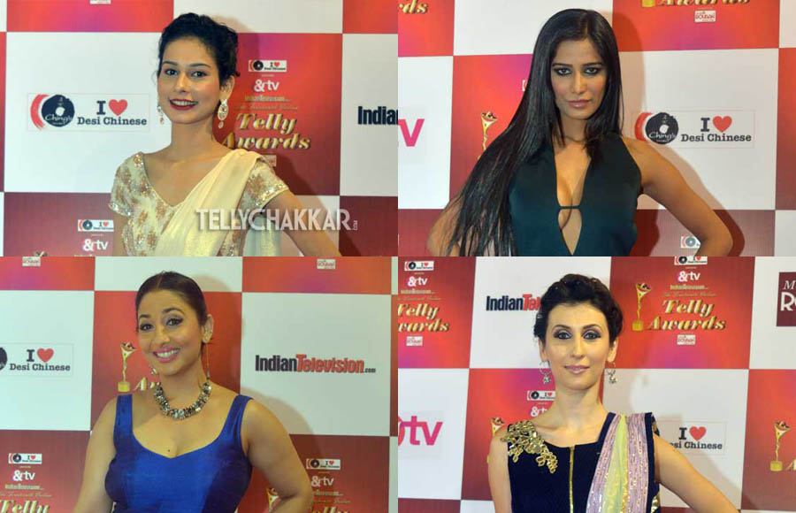 Red Carpet: 14th Indian Telly Awards - Part II