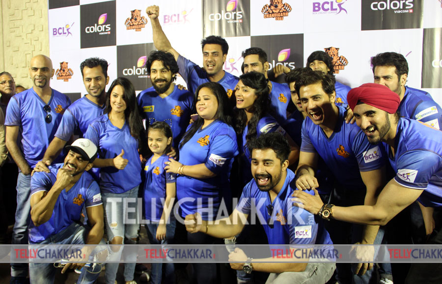 Launch of BCL team 'Chandigarh Cubs'