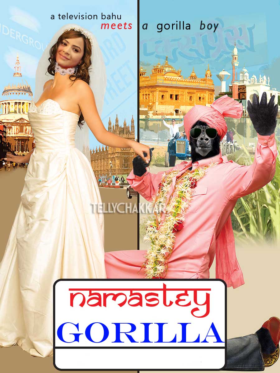 Namastey Gorilla