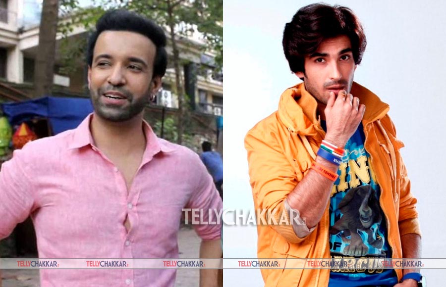 Aamir Ali replaced Mohit Sehgal in Sarojini (Zee TV) 