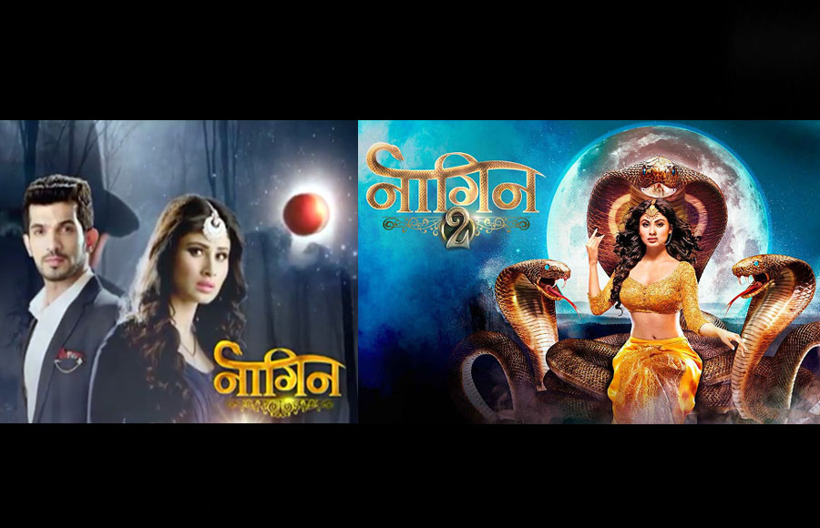 Naagin