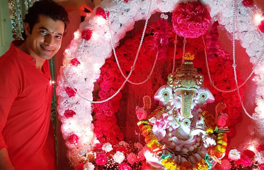 TV celebs with Ganpati 