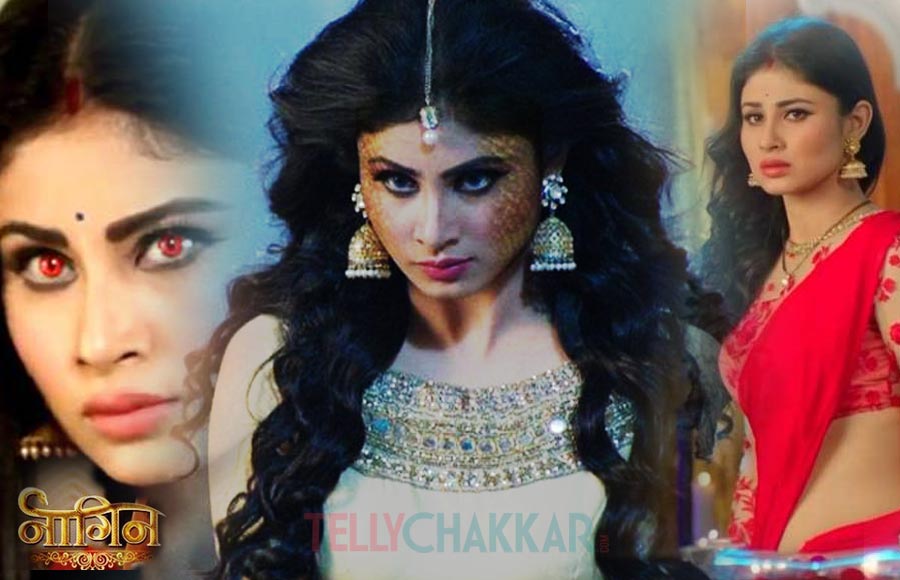 Mouni Roy in Naagin 1