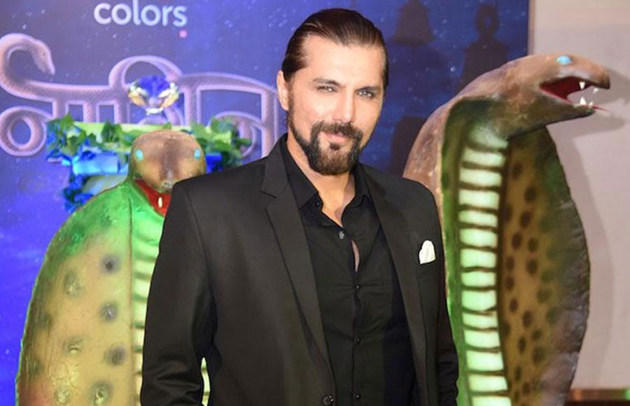 Chetan Hansraj aka Anand Sehgal in Colors' Naagin 3