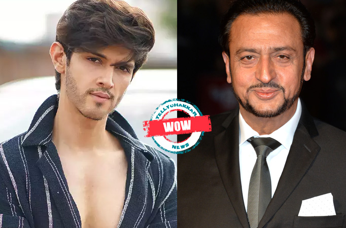 Wow! Gulshan Grover and Rohan Mehra to share screen in a sitcom for an OTT movie