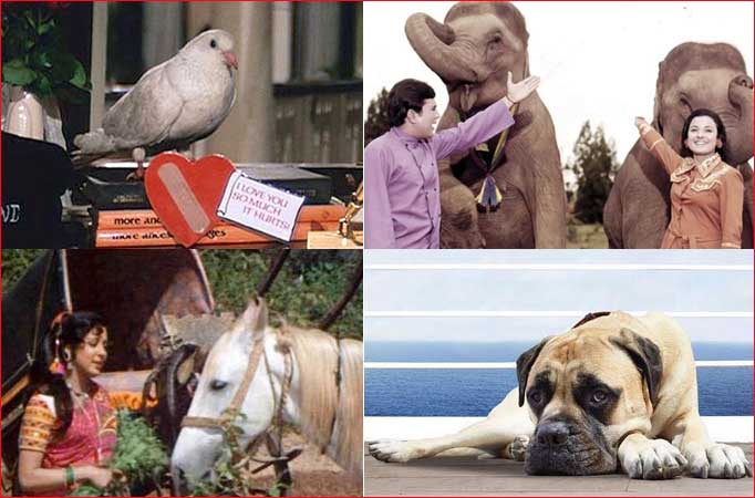 Bollywood's most iconic 'pet' characters! 