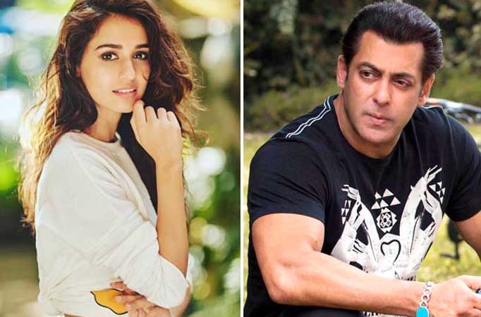 Disha Patani, Salman Khan