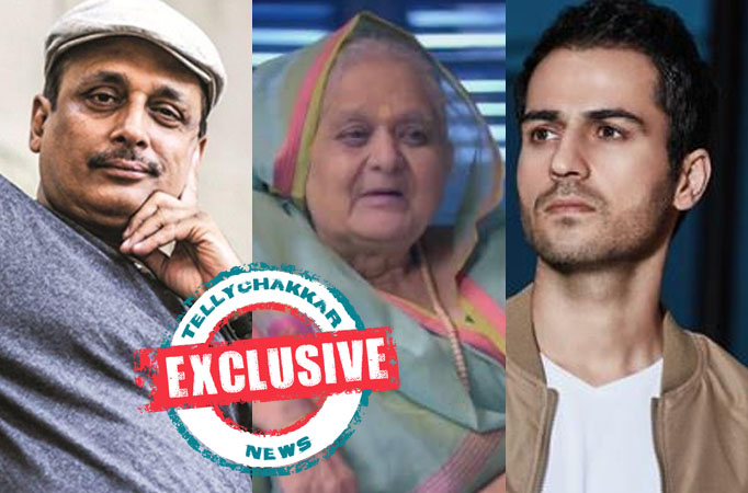 EXCLUSIVE! Neela Mulhekar and Sajjad Delafrooz join the cast of Suswagatam Khushamadeed?