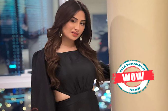 Wow! Bigg Boss 13's Mahira Sharma to star in Pollywood film; details inside  