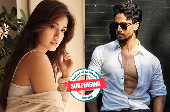 Surprising! Not Disha Patani, but someone else is seeking more attention from Tiger Shroff