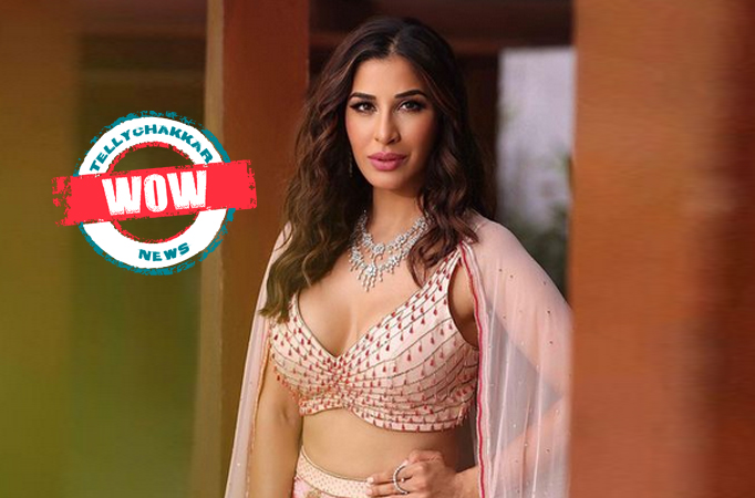 Sophie Choudry