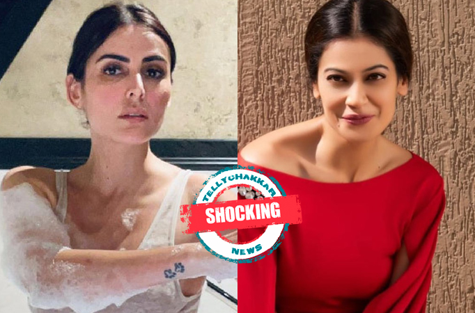 Shocking! Mandana Karimi slammed by her Lock Upp co-contestant Payal Rohatgi for This reason