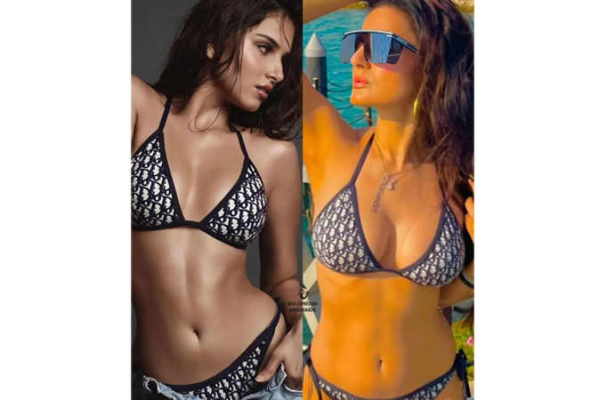 Ameesha Patel or Tara Sutaria who rocked in this dior bikini