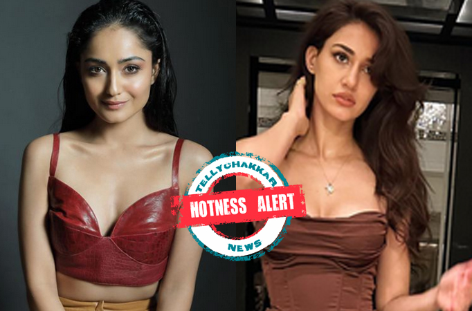 Hotness Alert! Tridha Choudhury or Disha Patani who wins this bikini selfie battle