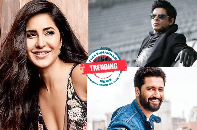 Trending! From Vicky Kaushal to superstar Shahrukh Khan have a look at the trending news of the day 