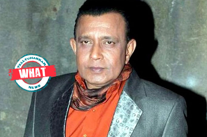 Mithun 