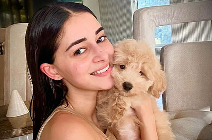 Ananya Panday 