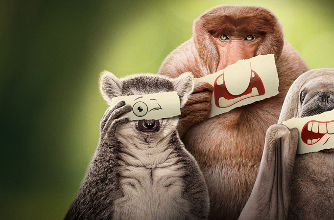 Questionable Parenting Strategies