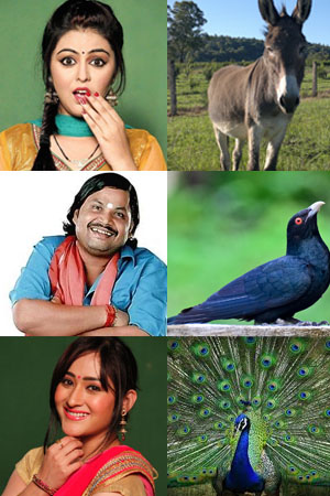 Match the 'Chidya Ghar' actors with the animals they play