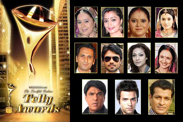 Twelfth Indian Telly Awards