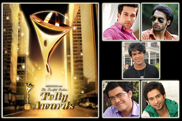 Twelfth Indian Telly Awards