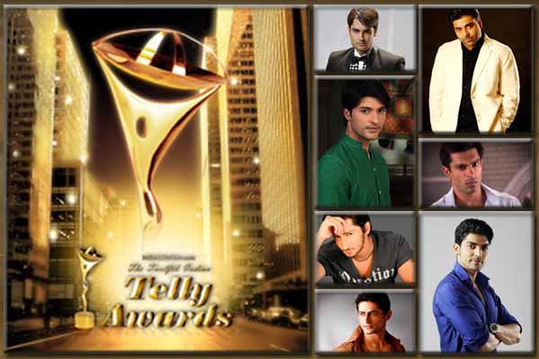 Twelfth Indian Telly Awards